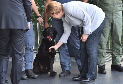 イタリア地震で倒壊した小学校、ドイツが再建を約束