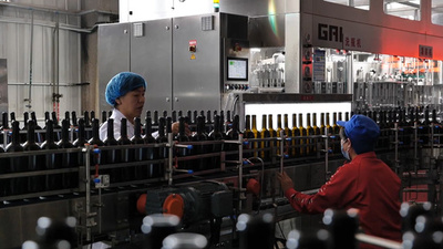 動画：高級ワイン造りにこだわり続けた24年 中国河北省のソムリエ