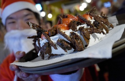 クリスマスケーキのトッピングはイモムシ 都内で昆虫食イベント