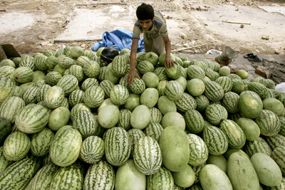 モンスーン、例年よりも早く到来か - インド