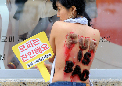 「毛皮は悪」、ソウルで活動家らが抗議活動