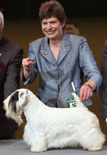 英ドッグショー、優勝はシーリハム・テリア犬