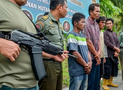 絶滅危惧されるマレーグマ、皮剥いで調理した4人逮捕 インドネシア