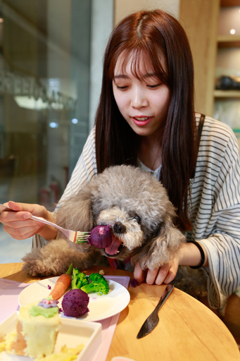 ペット歓迎の喫茶店オープン、杭州