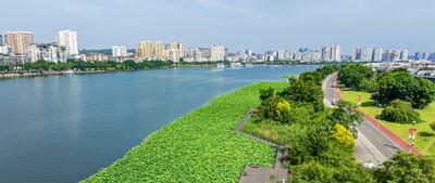 生まれ変わった「猫児洲」 中国四川省