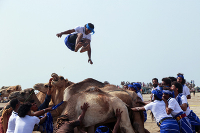【今日の1枚】ラクダもびっくりの大ジャンプ イエメン