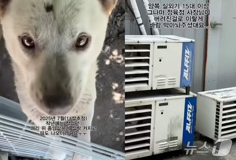 YouTubeキャプチャ(c)news1