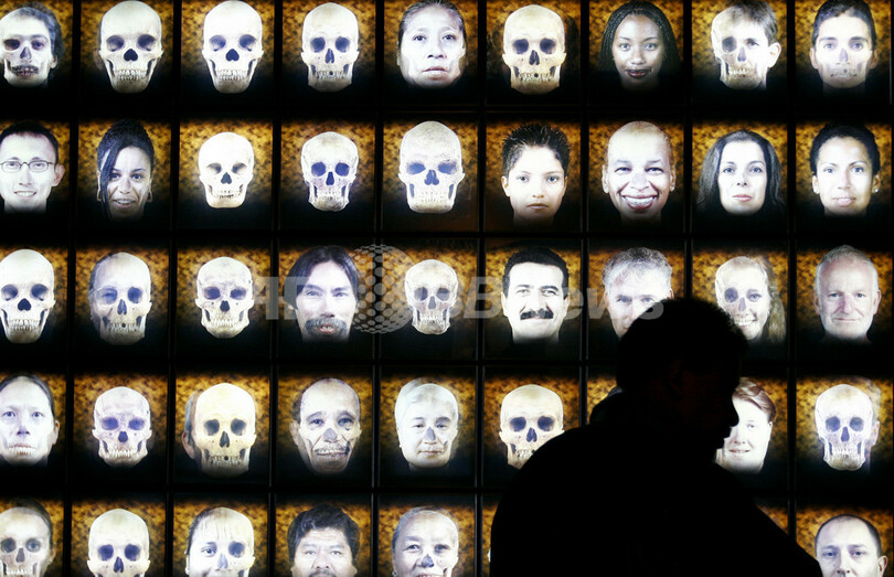 メキシコが誇る国立人類学博物館、マヤ・アステカ文明の遺跡を展示中