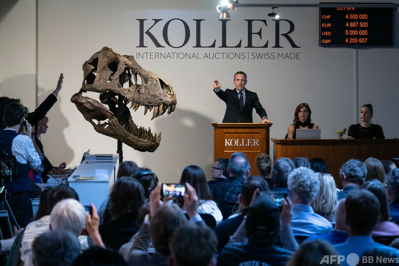 T・レックス標本「トリニティ」、ベルギーで公開展示へ