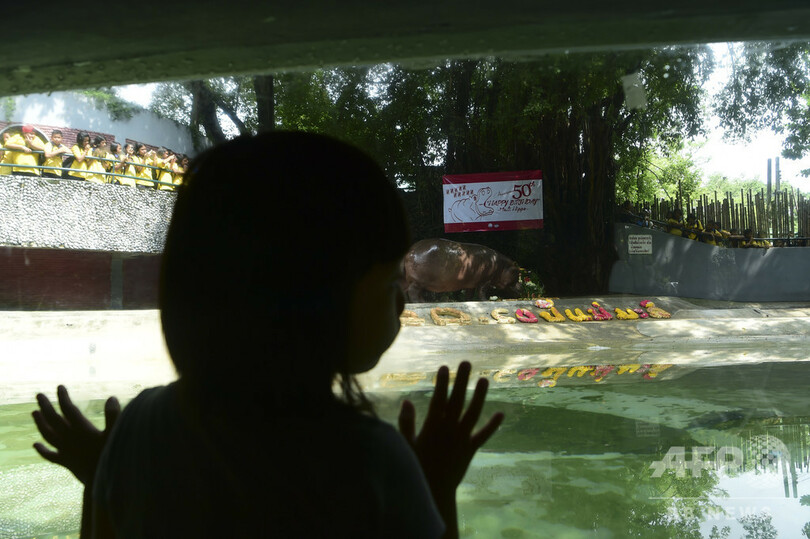 獣医師が動物園当局トップを射殺し自殺、行方不明のシカ調査が原因か タイ