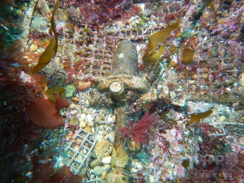 第2次大戦中に撃沈されたUボートの残骸か、スペイン沖で発見