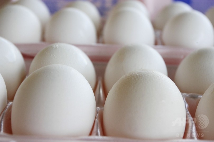 鳥インフルで鶏など4000万羽殺処分、卵の価格高騰 米 鳥インフルで鶏など4000万羽殺処分、卵の価格高騰 米