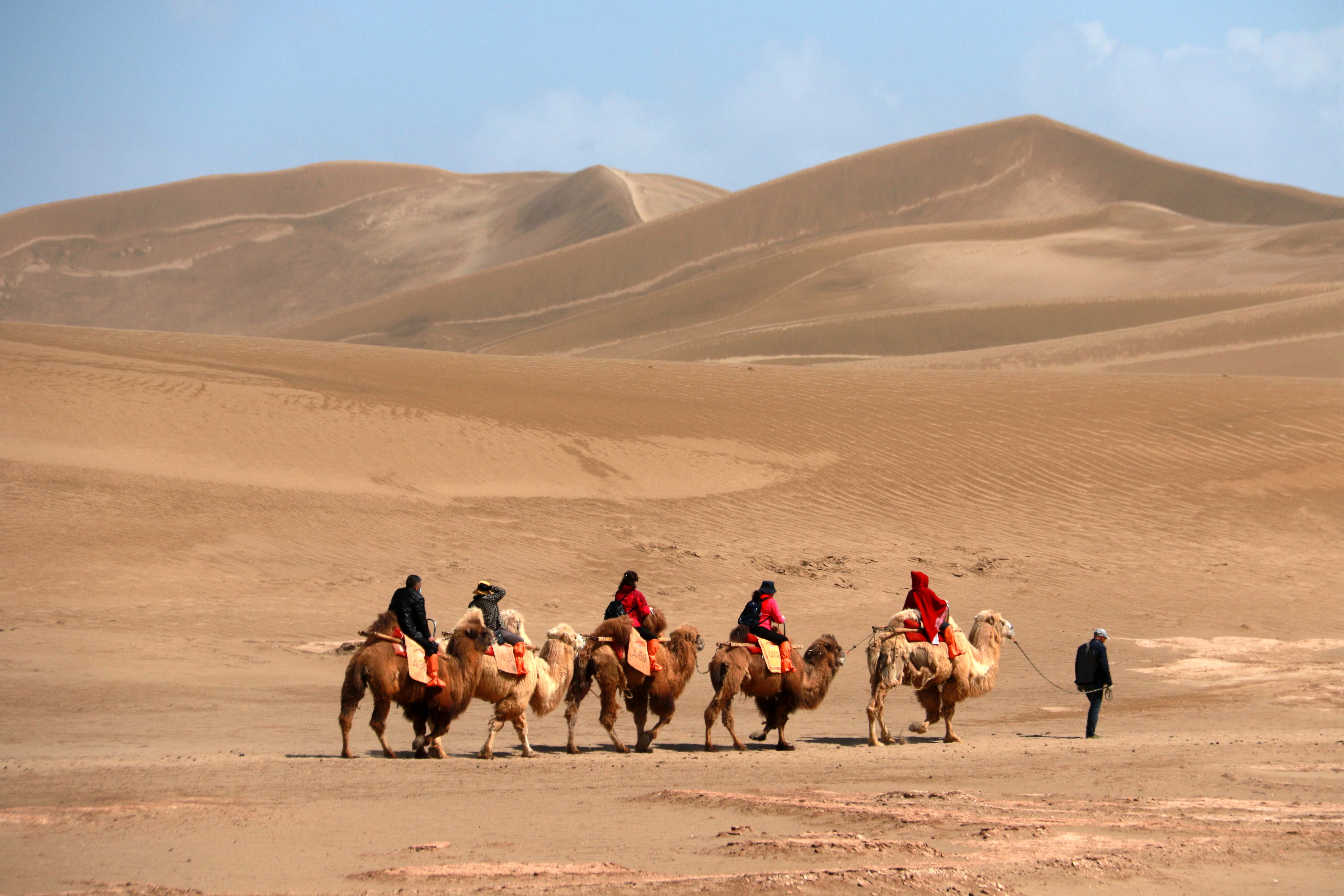 シルクロード敦煌の砂 シルクロードの美しい砂丘「鳴沙山」 | SOWHATの世界旅日記