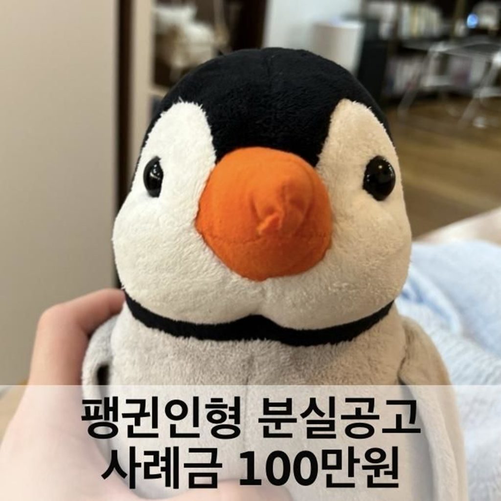 お気に入りの「ペンギンのぬいぐるみ」、探してくれたら謝礼100万