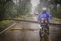 フィリピン中部の東サマル州で、台風1号の強風と豪雨の中、ココヤシの木がなぎ倒された幹線道路をバイクで通る人（2020年5月14日撮影）。(c)Alren BERONIO / AFP