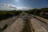 仏で干ばつ悪化、7割近くの地域で水利用制限