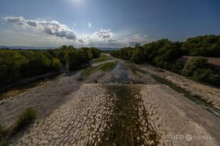 仏で干ばつ悪化、7割近くの地域で水利用制限