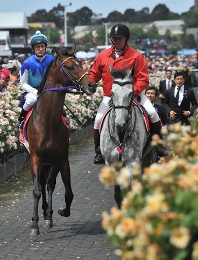 アドマイヤラクティの死因は急性心不全、むち禁止を求める声も