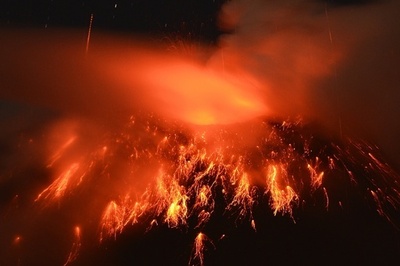 三畳紀末の大量絶滅、最新技術で時期を詳細に特定 「誤差2万年」