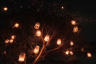 【今日の1枚】夜空に輝くランタンの木 インドネシア