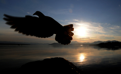 東欧スロバキアのダム湖は釣りの名所、釣果はいまいち