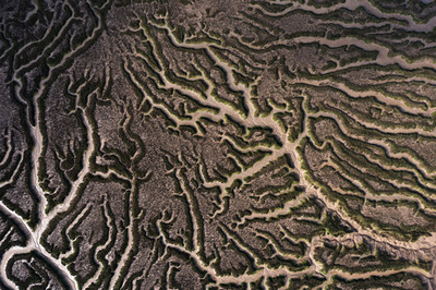 【今日の1枚】まるで大地を巡る静脈、川底にくっきり 英