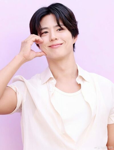 韓国俳優パク・ボゴムへの悪質投稿、一部投稿者に罰金判決