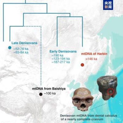 ハルビン古人類がデニソワ人と特定 東アジア古人類の進化史解明へ