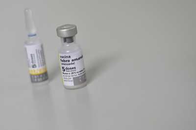 ブラジルのリオデジャネイロ州、州内全住民に黄熱ワクチン接種へ