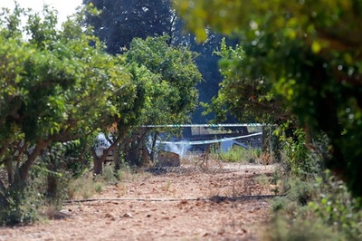 ヘリと軽飛行機が空中衝突、7人死亡 スペイン・マジョルカ島