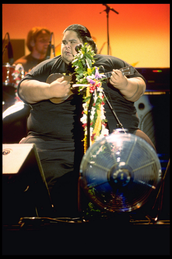 没後13年、巨体ハワイアン・シンガーの歌が独チャート1位に