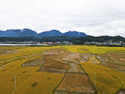 中国の農耕地を守れ、耕地の非農化制止を通知