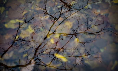 ドイツに晩秋の訪れ