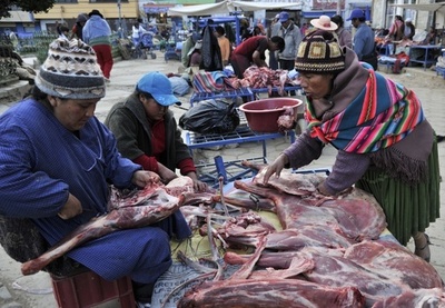 妻を働かせない権利を夫に付与、世界で15か国