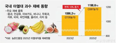 国産バナナや柑橘が店頭へ…韓国・熱帯果実の販売拡大
