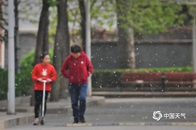 北京市民を悩ませるポプラと柳の綿毛