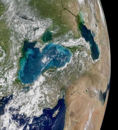植物プランクトンの増殖続く黒海、青緑色の渦くっきり NASA