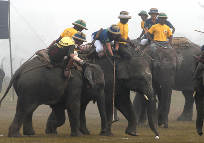 ネパールでエレファントポロの世界大会