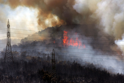 ギリシャ、アテネ郊外で大規模な山火事