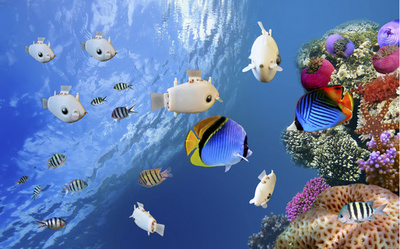 本物そっくりに群れで泳ぐ魚ロボット 米大学が開発