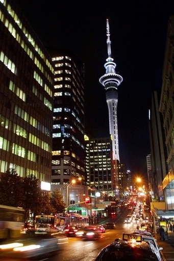 アーリア人至上主義のナンバープレート？実は元カレのイニシャル