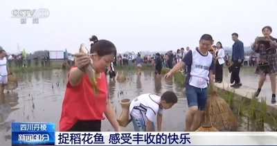 中国各地で実りの秋迎える、畑は黄金色の輝き