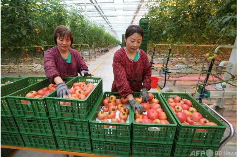 農村振興のデジタル・ブルー・オーシャンを拡大 中国