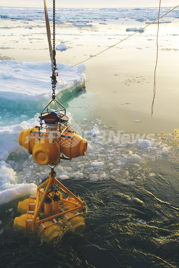 南極低層水が激減、気候変化が原因 豪州研究
