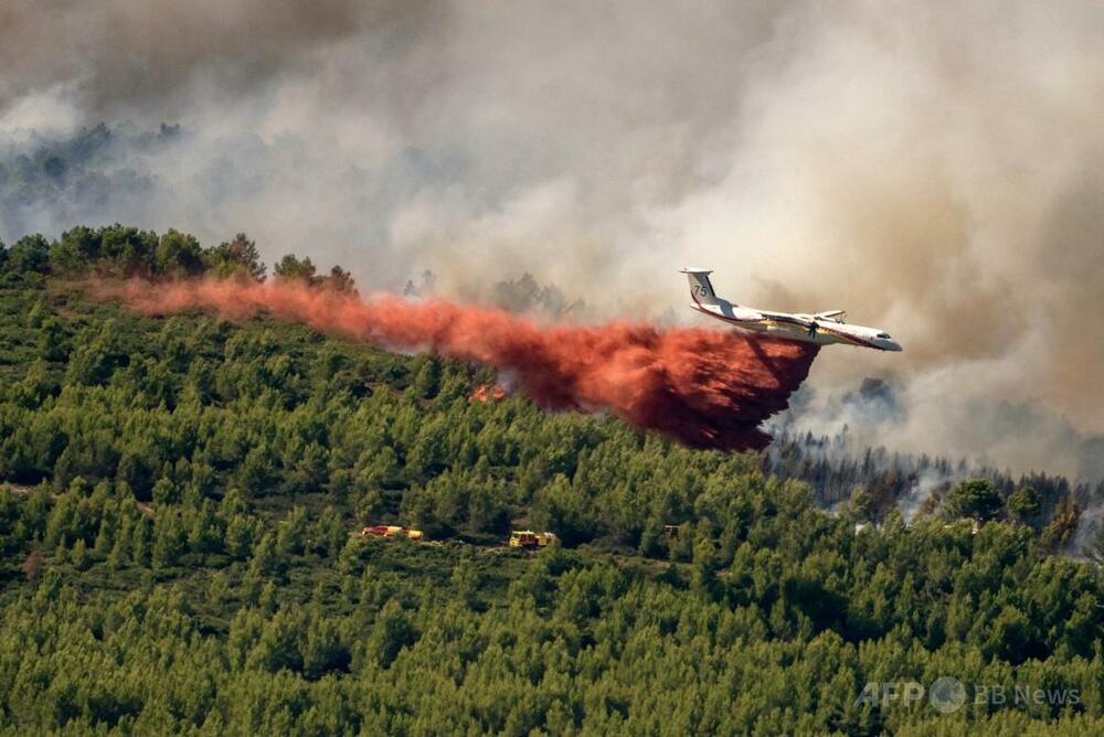 仏森林火災、7月中旬時点で過去最悪 パリの4倍相当焼失