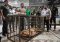 コロンビア環境保護当局によって西部カリの動物園に移送された、衰弱した20歳の雄ライオン「ジュピター」。カリ市長室提供（2020年2月27日撮影）。(c)AFP PHOTO / CALI MAYOR&apos;S OFFICE / GUILLERMO GUTIERREZ