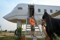 カンボジア・シエムレアプ近郊で、チラチ・ポーさんが建てた飛行機そっくりの家（2023年3月12日撮影）。(c)TANG CHHIN SOTHY / AFP