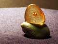 南米ペルー・チクラーヨ（Chiclayo）のマイヤーヘニンゲン（Meyer-Hönningen）古生物博物館は26日、2000万年前の虫が閉じ込められた琥珀（こはく）を公開した。

　琥珀は、エクアドルとの国境を流れるアマゾン（Amazon）川の支流サンチャゴ（Santiago）川の流域で、見つかったもの。数百個が発掘され、最大のものは全長約12センチ。新第三紀（約2300万年前～約180万年前）の時代に属するチャタテムシ目、双翅目、甲虫目、半翅目、クモ目など、さまざまな昆虫が閉じ込められている。

　これまで南米で琥珀が発見された地域は、ブラジル、アルゼンチンのパタゴニア（Patagonia）、フランス領ギアナに限られていた。

　写真は、マイヤーヘニンゲン古生物博物館が公開した琥珀（2011年4月26日公開）。(c)AFP/MUSEO PALEONTOLOGICO MEYER-HONNINGER