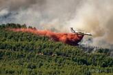 欧州南部で山火事広がる ツール・ド・フランス、無観客開催へ