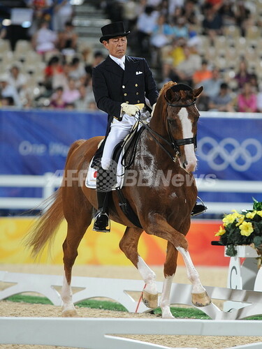 70歳の法華津がロンドン五輪出場へ、馬術 写真1枚 国際ニュース：AFPBB